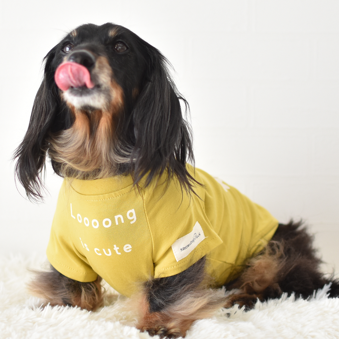 ダックスフレンチTシャツ ダックス 名入れ 刺繍 犬 服 着せやすい