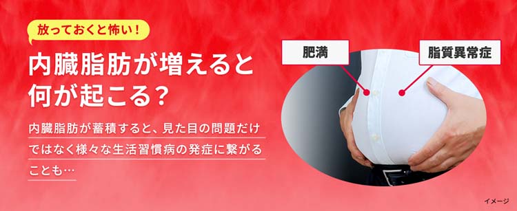 1本あたり250円】ナプラ ナシード 詰め合わせ 未使用品 1本あたり250円