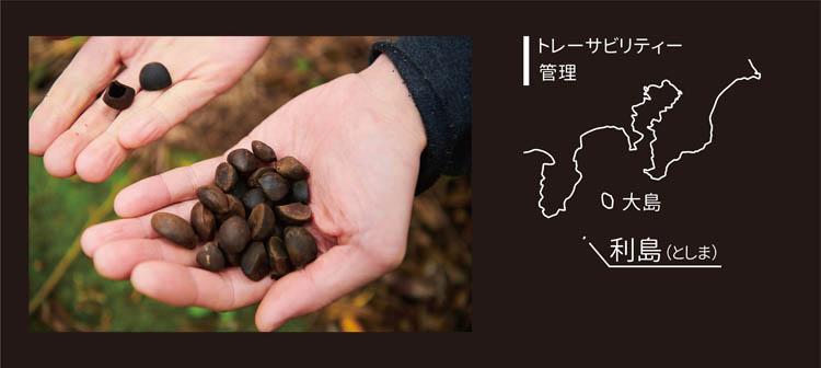 本島椿 純椿油 ( 70ml )/ : 爽快ドラッグ - 通販 - Yahoo!ショッピング