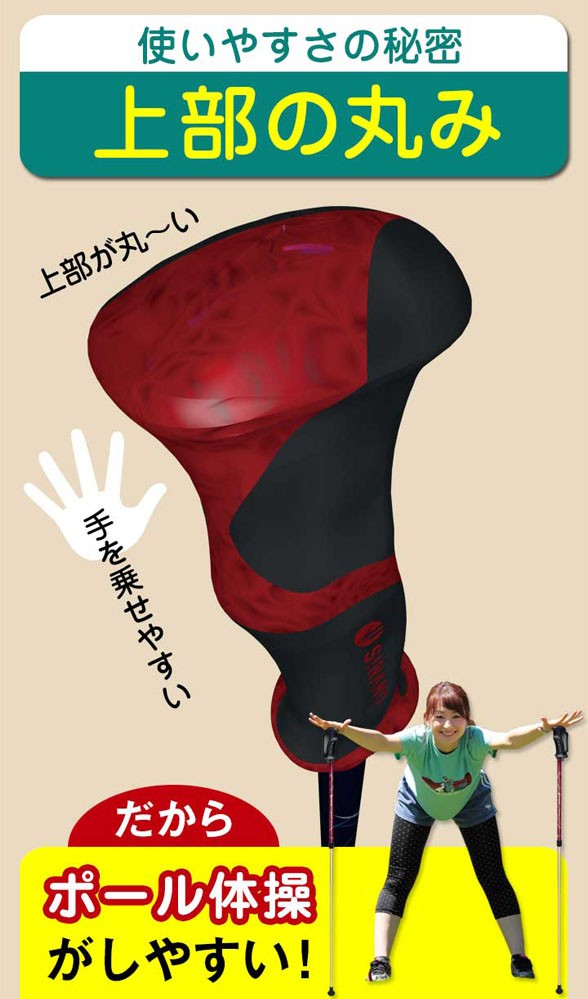 SINANO シナノ レビータ ネクスト 2本組 ノルディック ウォーク