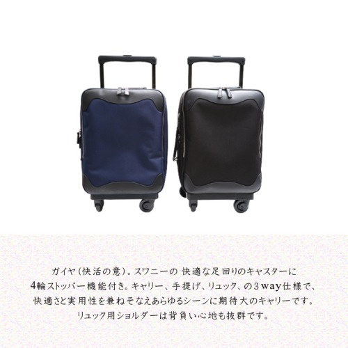 SWANY（スワニー） B-317 ガイヤ キャリーケース スーツケース ハンド