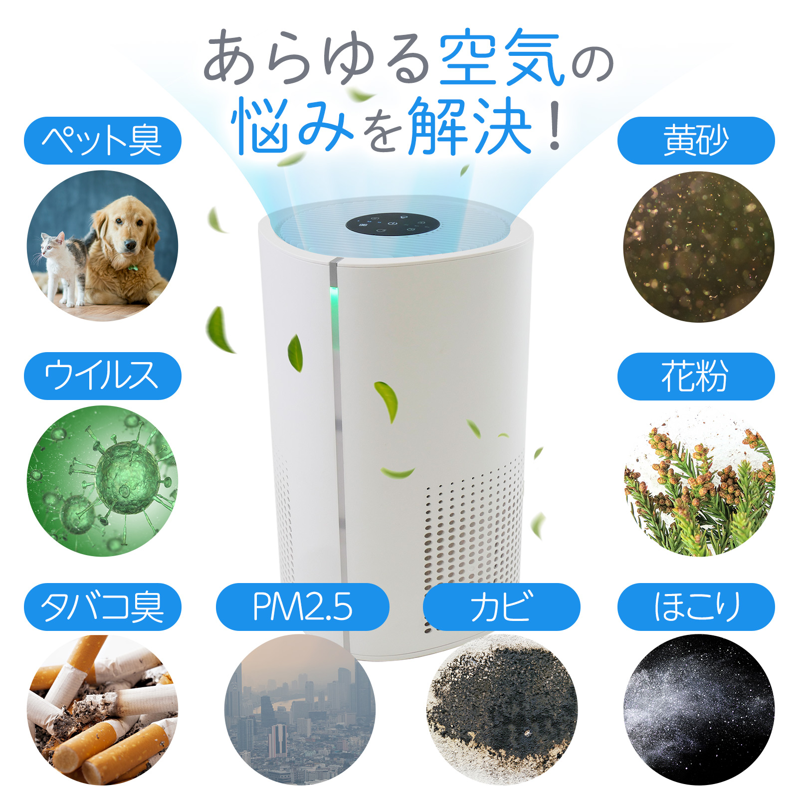 ヤマダモール | 空気清浄機 小型 花粉症 除菌 消臭 省エネ 花粉対策