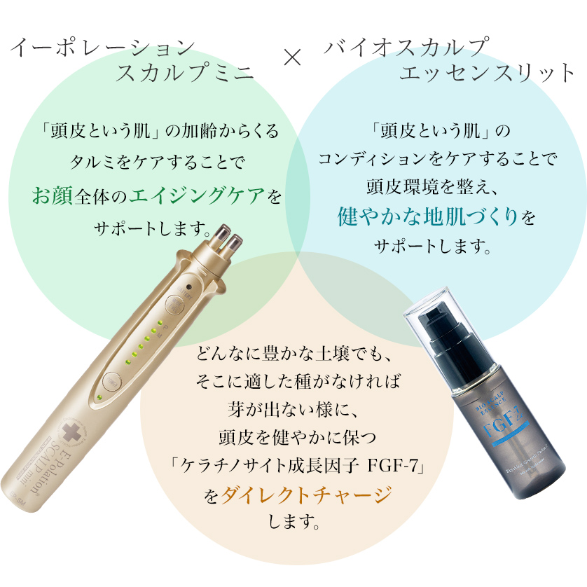 スカルプケア美容器 頭皮ケア FGF-7 女性 男性 エレクトロポーション