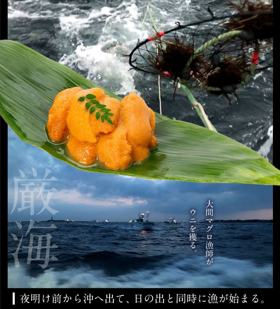 うに最終 国産極上 大容量 生うに360g(180g×2本)［天然新物］漁師の生