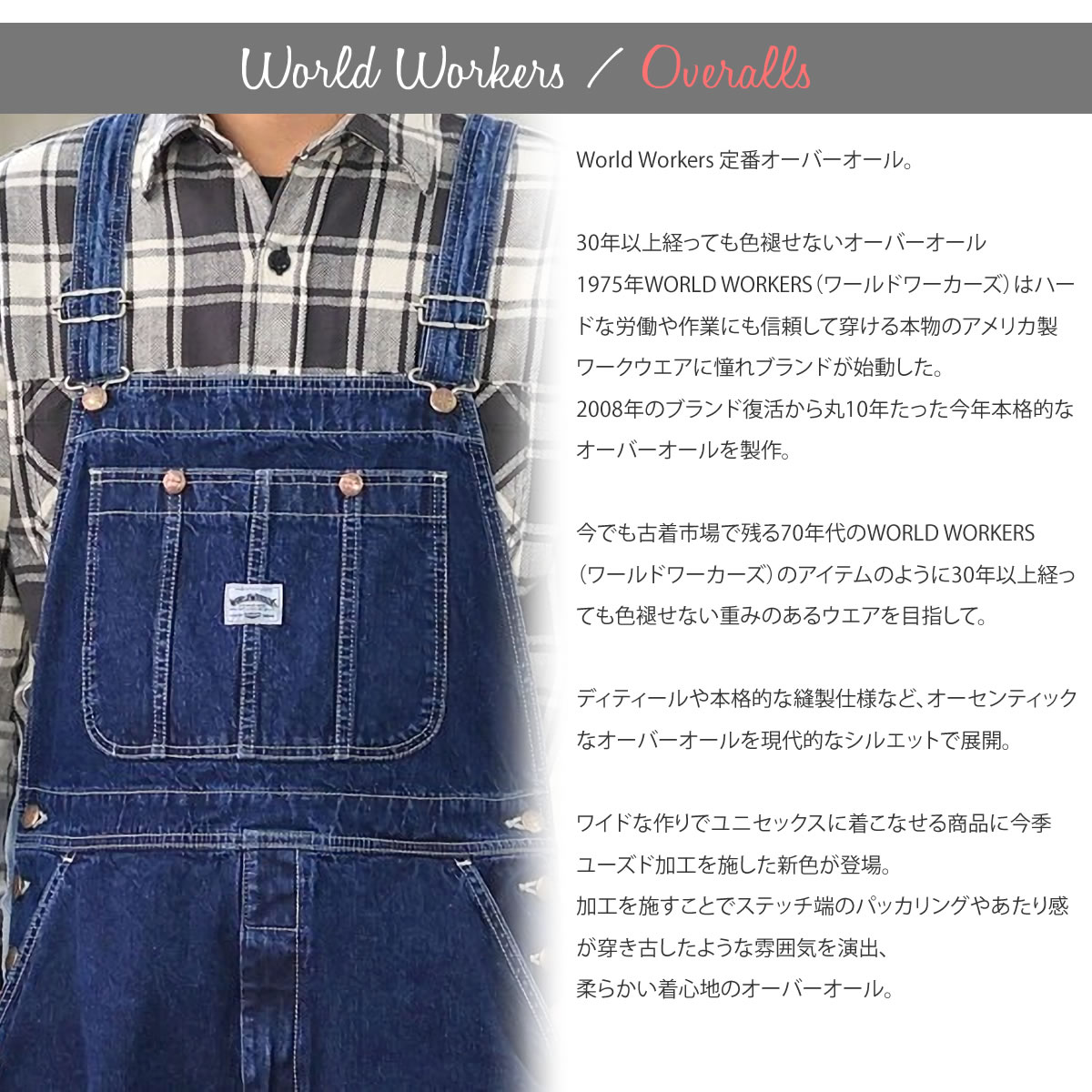 WORLD WORKERS（ワールドワーカーズ） オーバーオール ビッグジョン