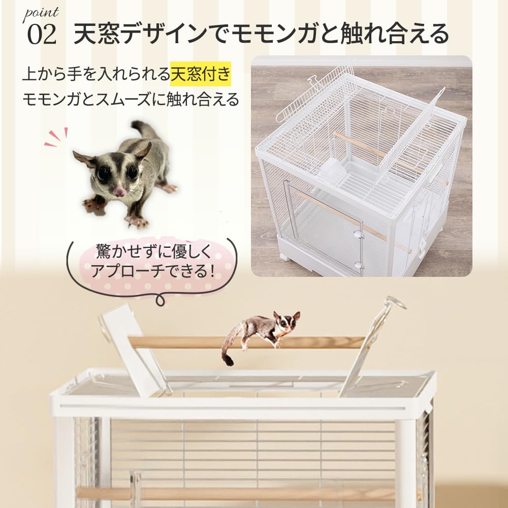 フクロモモンガ アクリルケージ クリアフロント 590high モモンガ