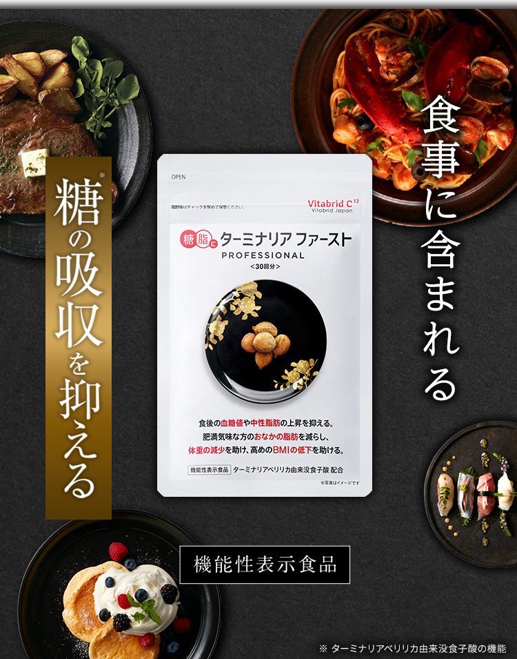 Vitabrid ターミナリアファースト プロフェッショナル 90日分 360粒