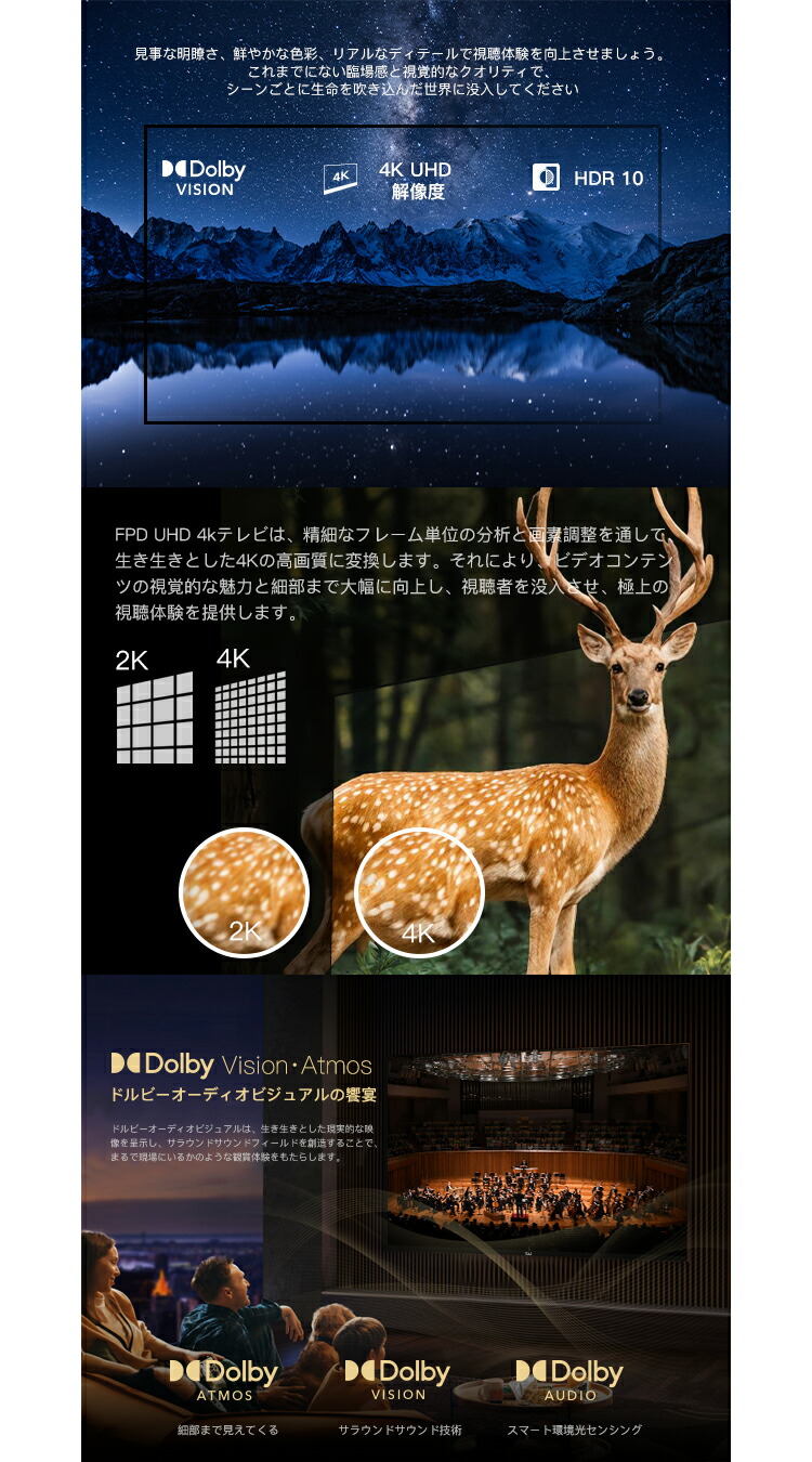 FPD チューナーレス テレビ 4K 65インチ Google TV 65V型 液晶テレビ