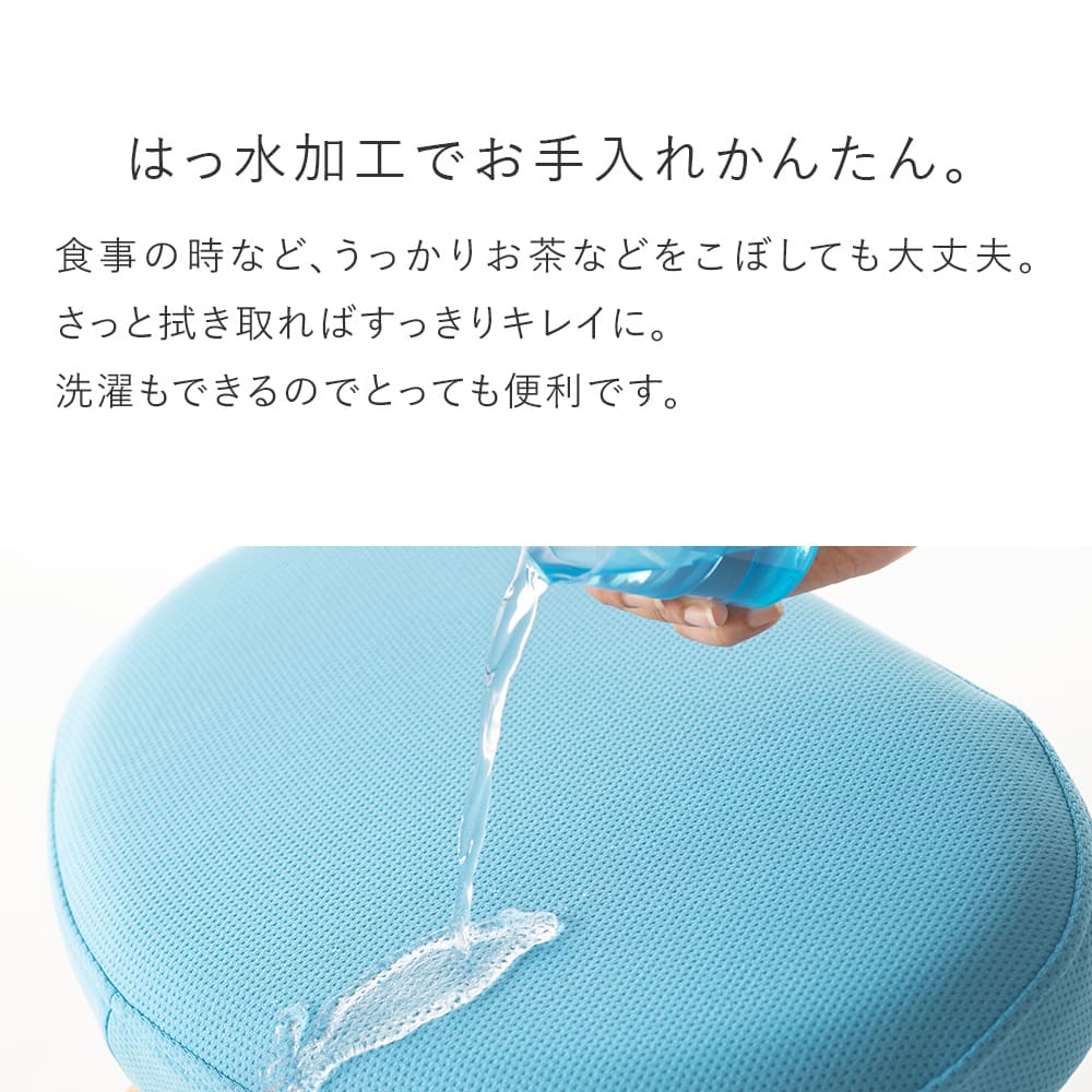 美品】sakamoto Balans Easy バランスチェア 専用カバー バランス