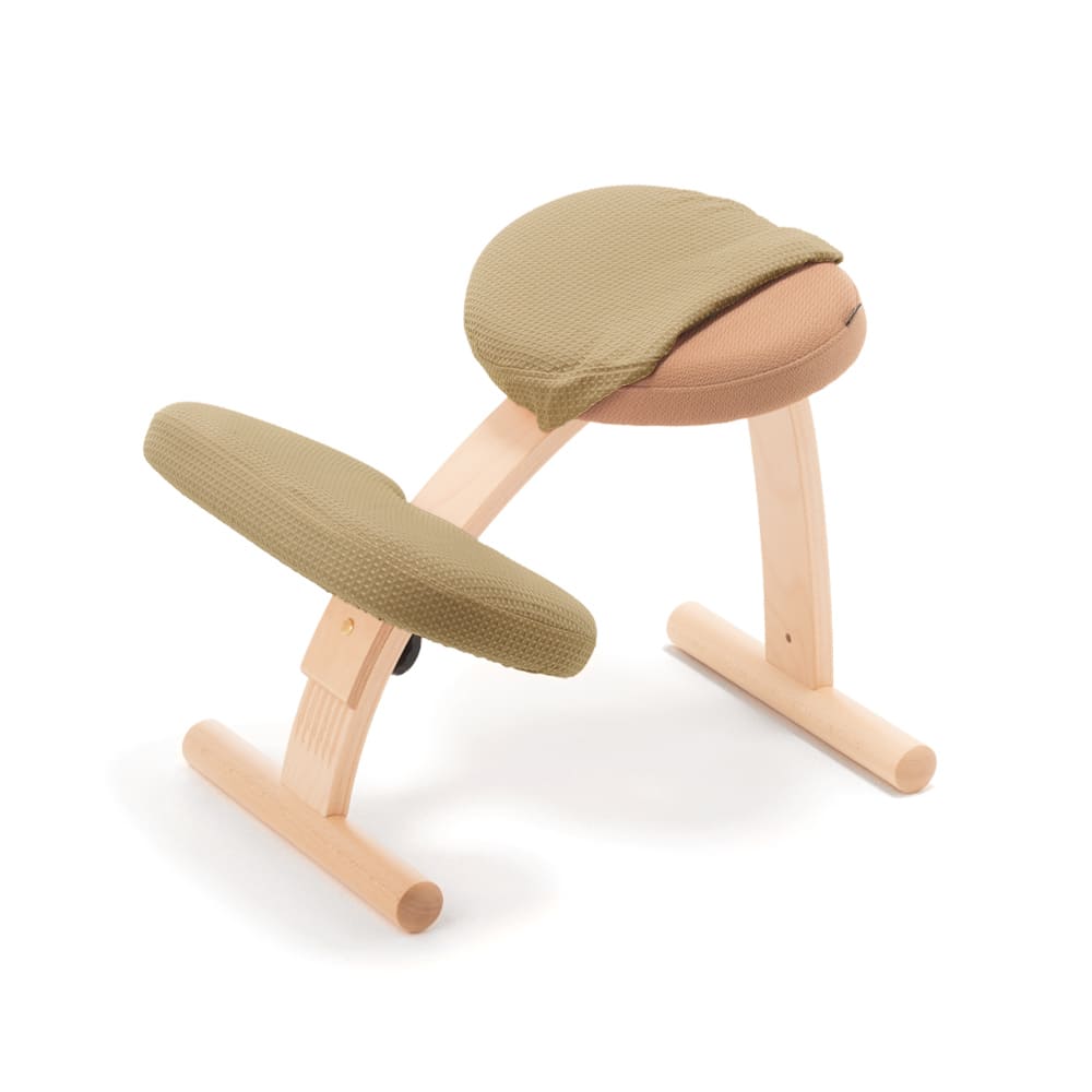 バランスラボ バランスチェア バランスチェアー バランスイージー