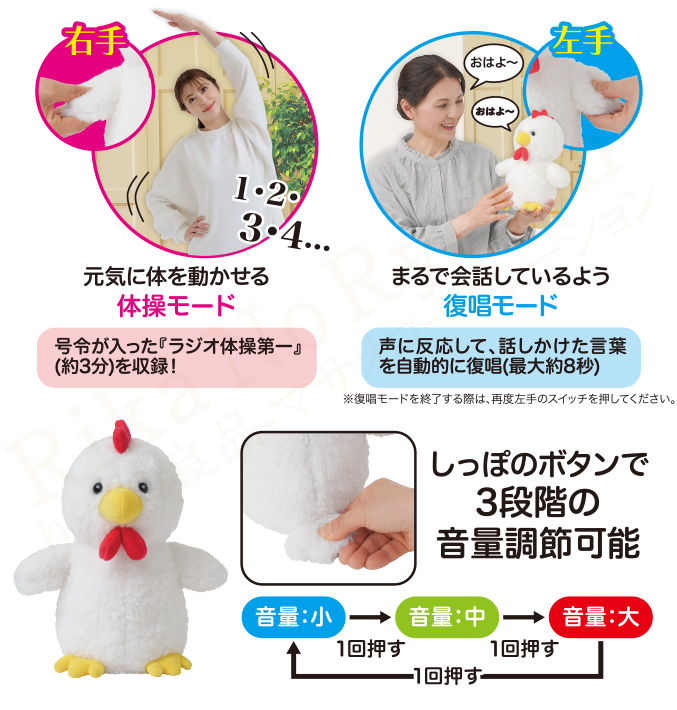 ニーズ 体操コッコちゃん ぬいぐるみ ラジオ体操 簡単操作 ニワトリ