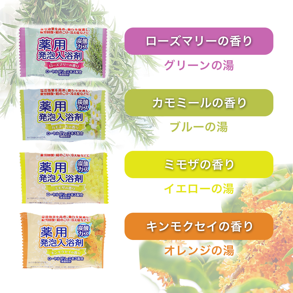 ライオンケミカル 入浴剤 ギフト プレゼント 薬用発泡入浴剤