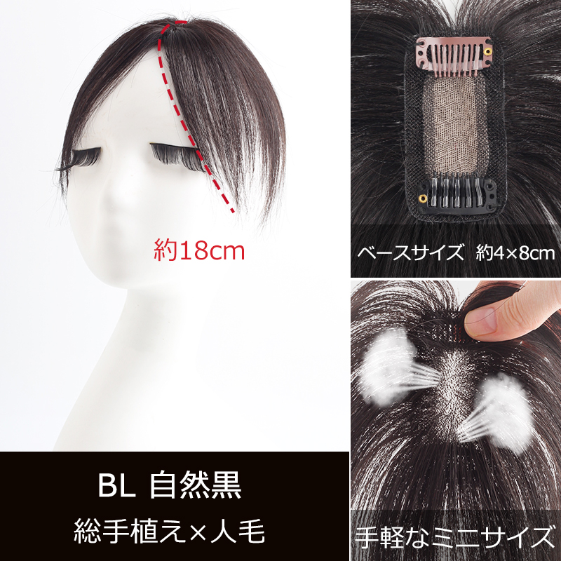 私元気 部分ウィッグ 全国カット 返品交換OK 小面積 4×8cm 頭頂部 人毛