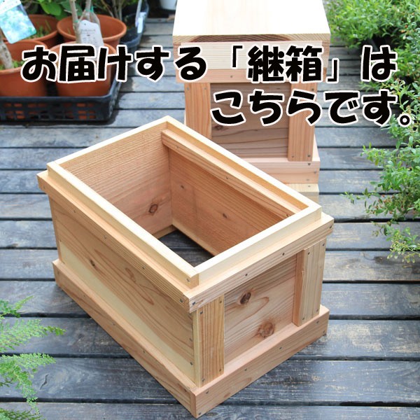 巣箱：石田式 ニホンミツバチ捕獲箱(継箱)*（本格巣箱が必要です