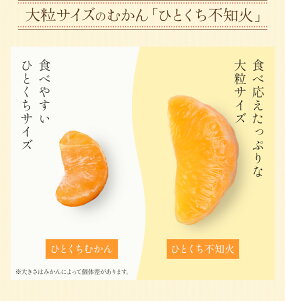 八ちゃん堂 ひとくち不知火（300g） 冷凍みかん 九州産 冷凍みかん