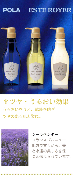 POLA ポーラ エステロワイエ コンディショナー 10L 業務用 500ml当り