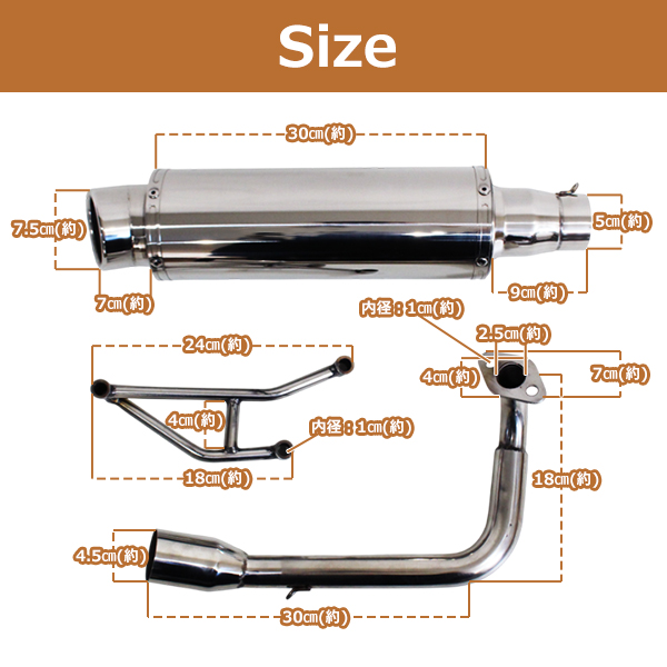 オール ステンレス マフラー スマート Dio ディオ DX Z4 AF56 AF57