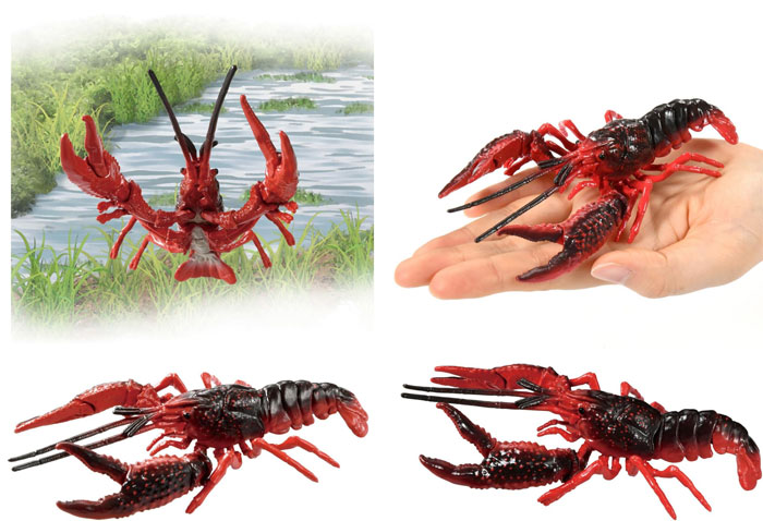 アニア AL-31 アメリカザリガニ : ユウセイ堂1号店 Yahoo!shopping店