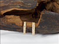 黄熟香 - 正倉院