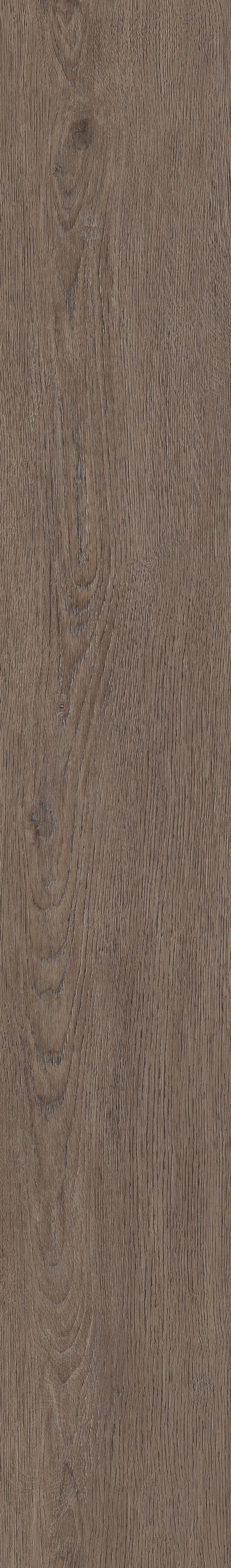 Eastwell Oak LVP Flooring | COREtec