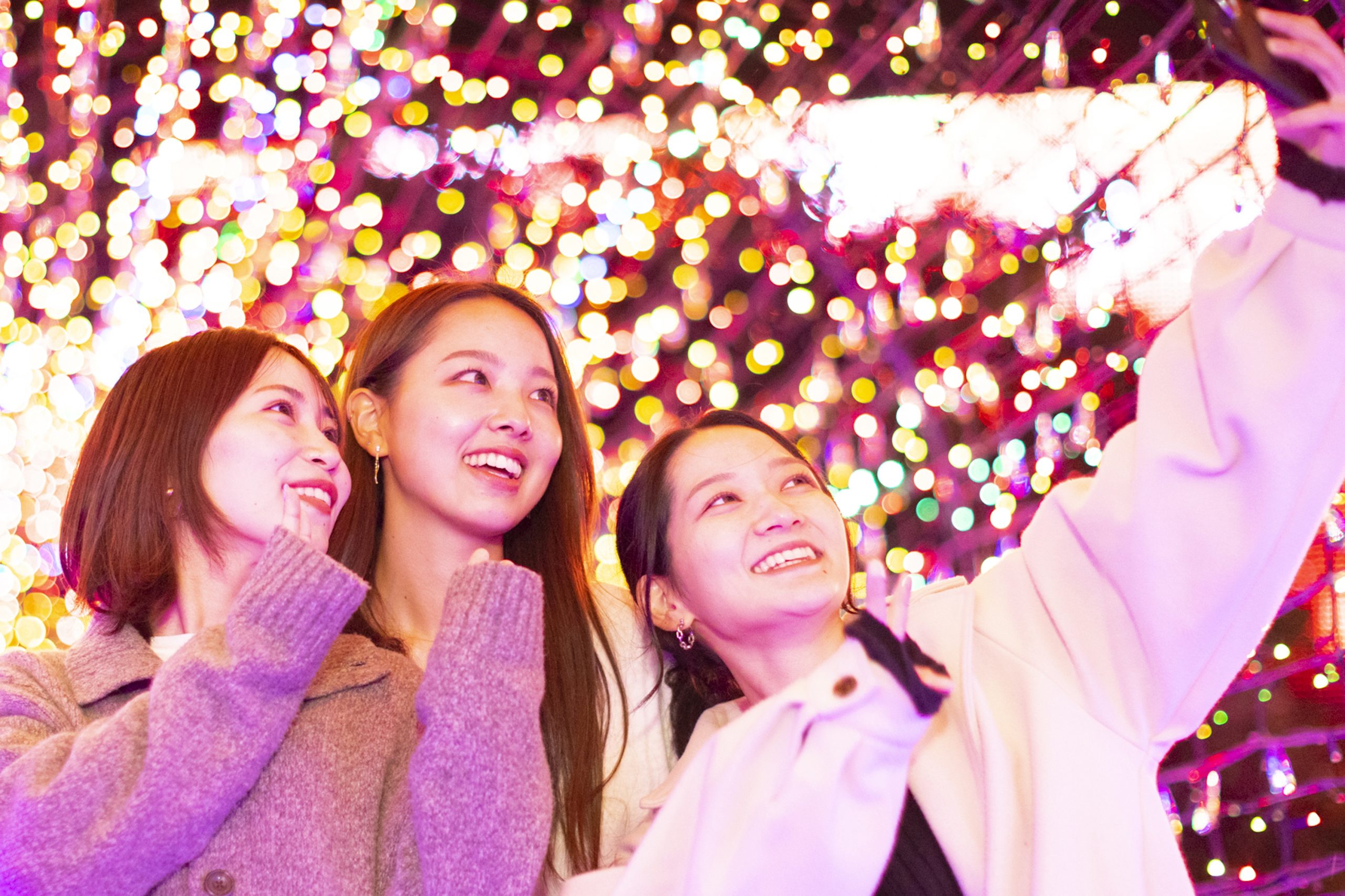 2024年11月9日（土）スタート！！ 日本初！体験型イルミネーション