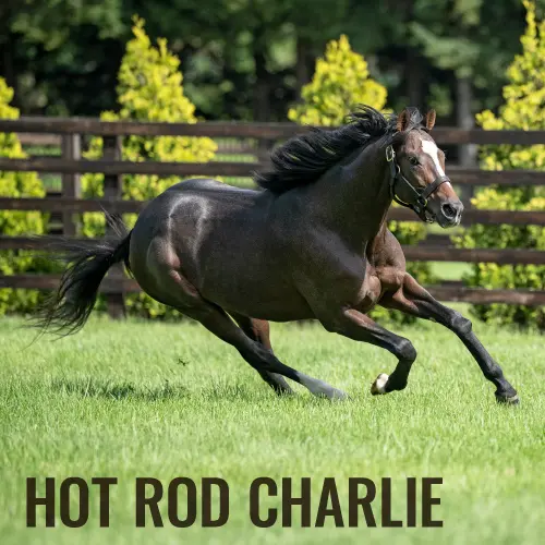 社台スタリオンステーション