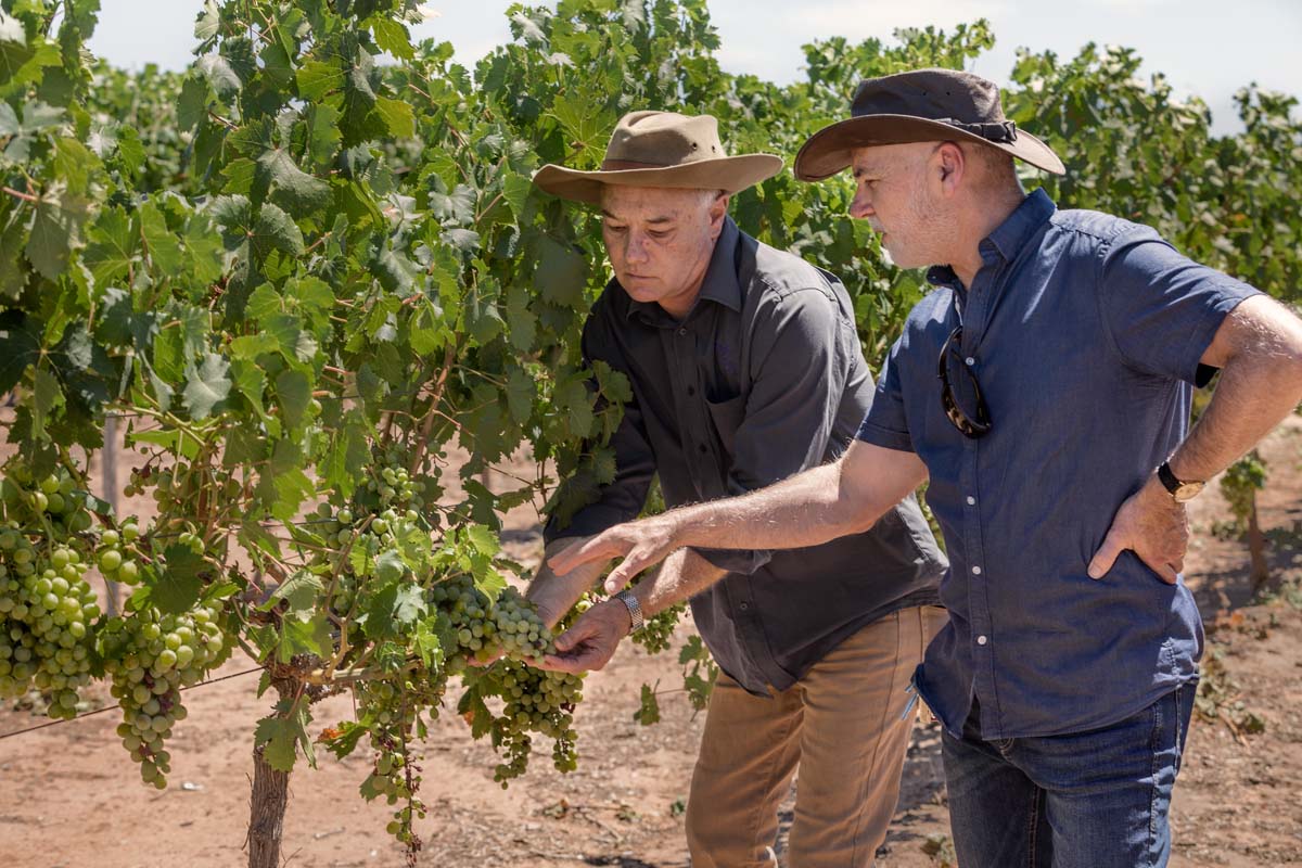 辛口＆甘口 | 紫ワイン飲み比べセット – Shizuku Shop