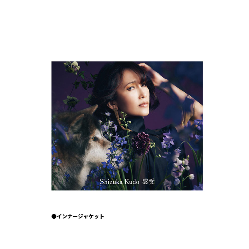 感受 -限定完全受注生産盤- | 工藤静香OFFICIAL STORE