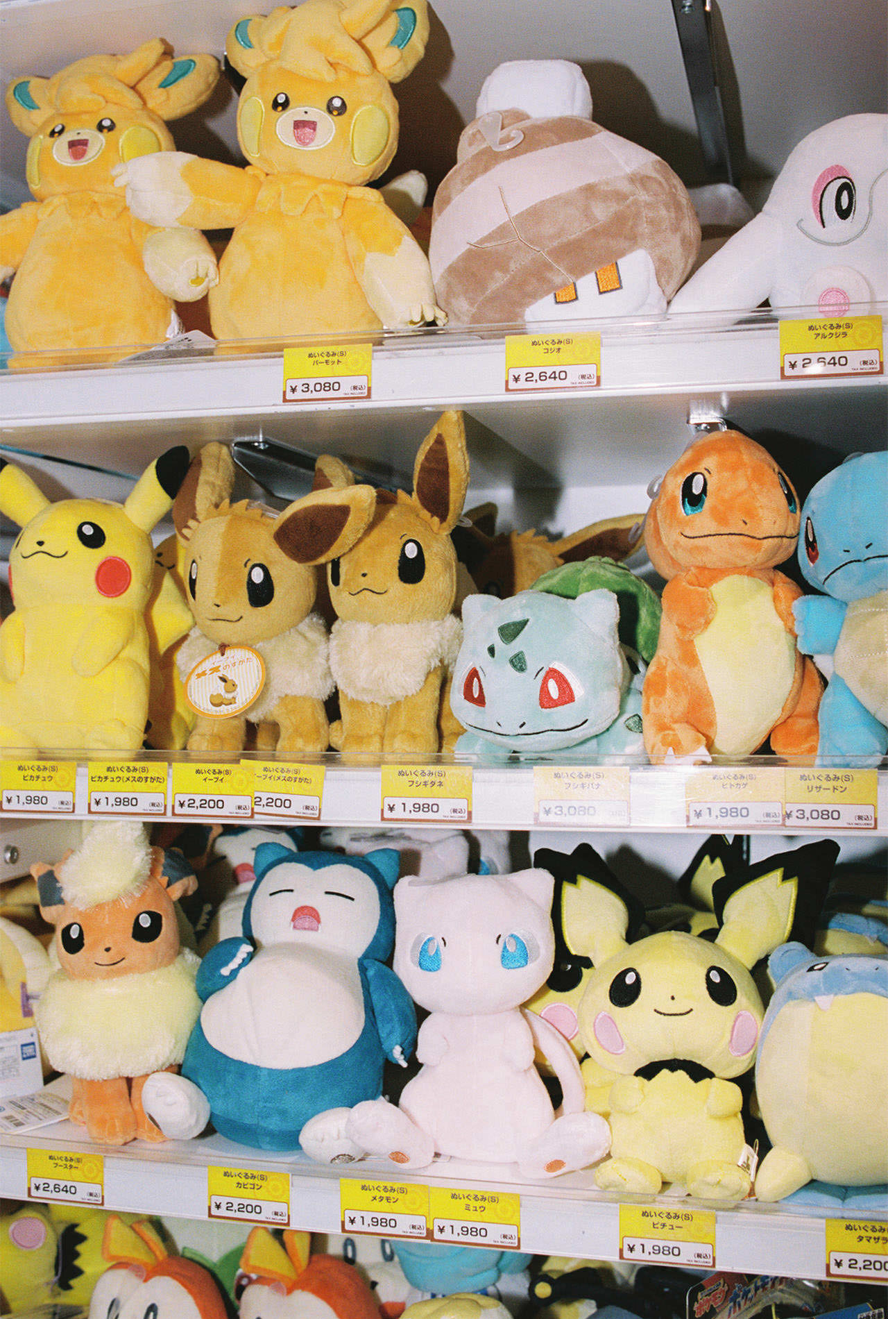 宮世琉弥＆伊達花彩×gelato pique／ポケモンセンタートウホク｜愛と