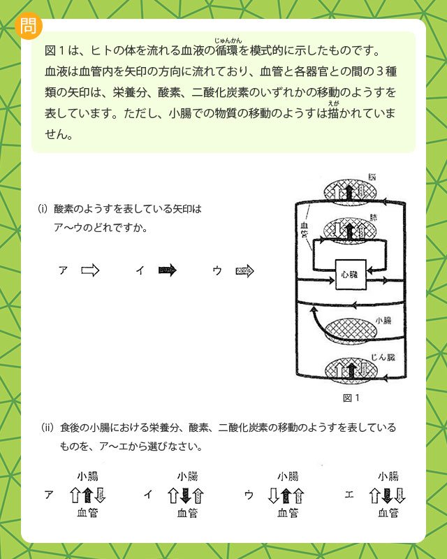 2024年度 四天王寺中学校入試問題より｜中学受験応援サイト 『シガクラボ』