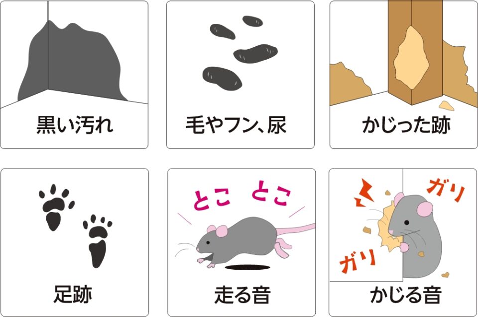 粘着シートで捕まえる | 株式会社SHIMADA