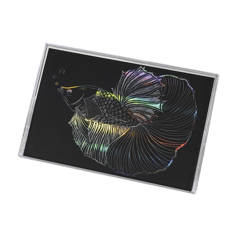 ㈱アーテック ホログラムスクラッチボード2 折りたたみケース付き1