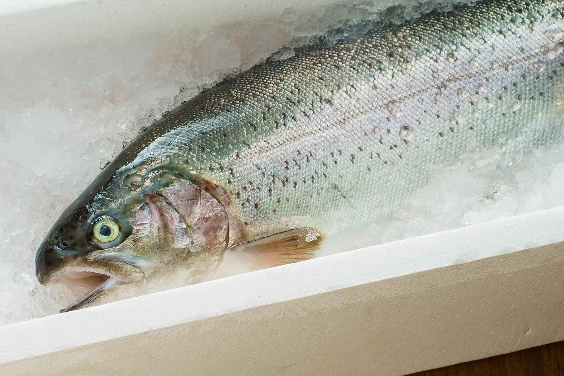 志な乃亭・志なのすけ・あたりや食堂】4月のごちそうフェアは『岬町