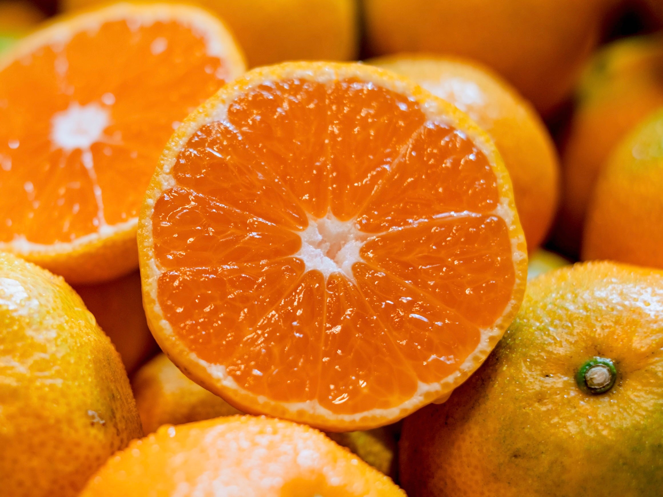 川上みかん｜新口農園｜オンラインショップ – SHINGUCHI FARM