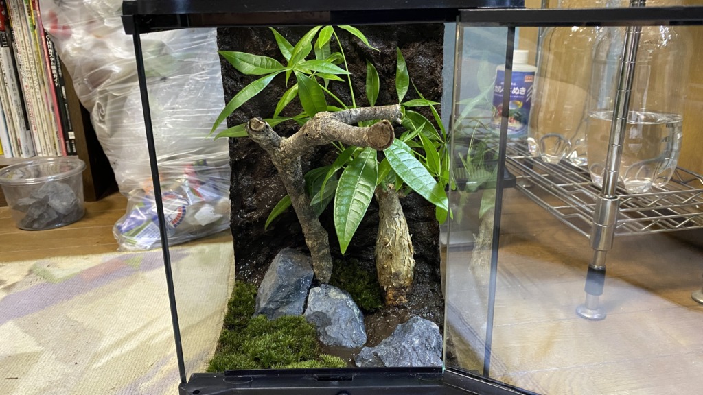 食器棚修理とベンチ解体とカエル探し&グラステラリウムナノの