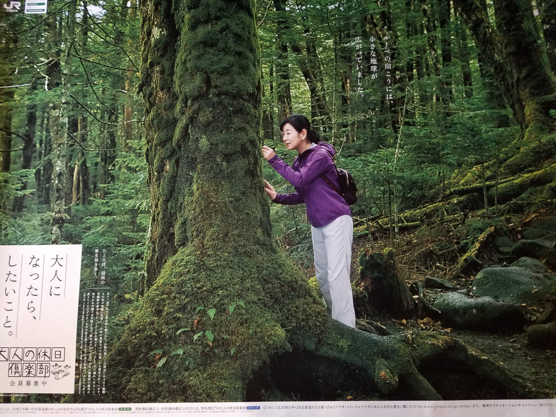 大人の休日クラブ吉永小百合さんの: 白駒荘 Blog