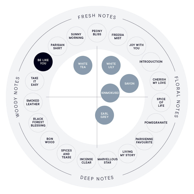 BE LIKE YOU EAU DE PARFUM (100ML/50ML) – SHIRO US Online Store