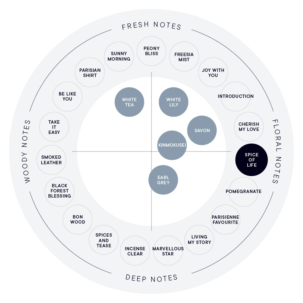 SPICE OF LIFE EAU DE PARFUM (100ML/50ML) – SHIRO US Online Store