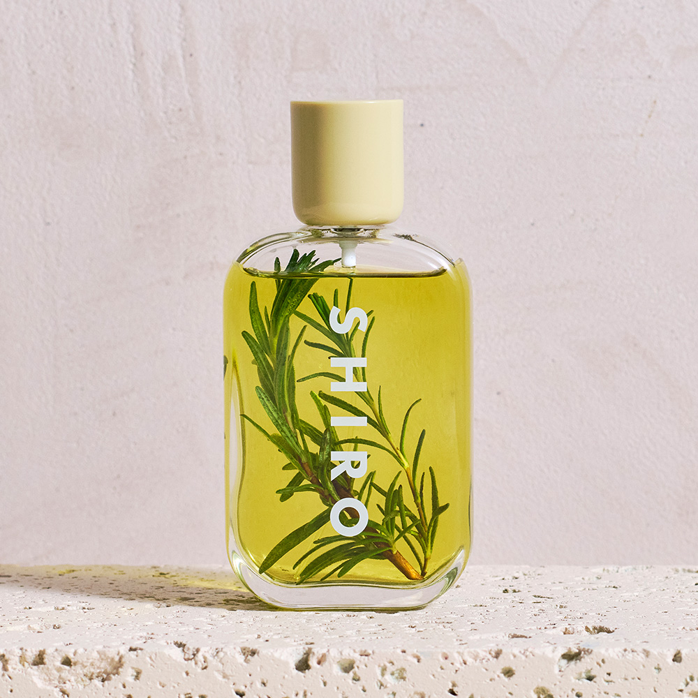 2025年4月26日（土）に新旧の文化が行き交う街、韓国・聖水（ソンス