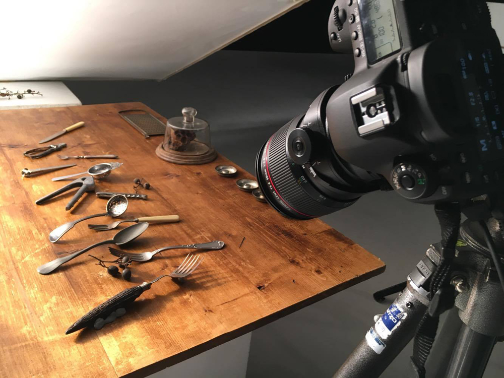 解析特集】マクロ撮影にも対応した3本のティルト・シフトレンズ「Canon