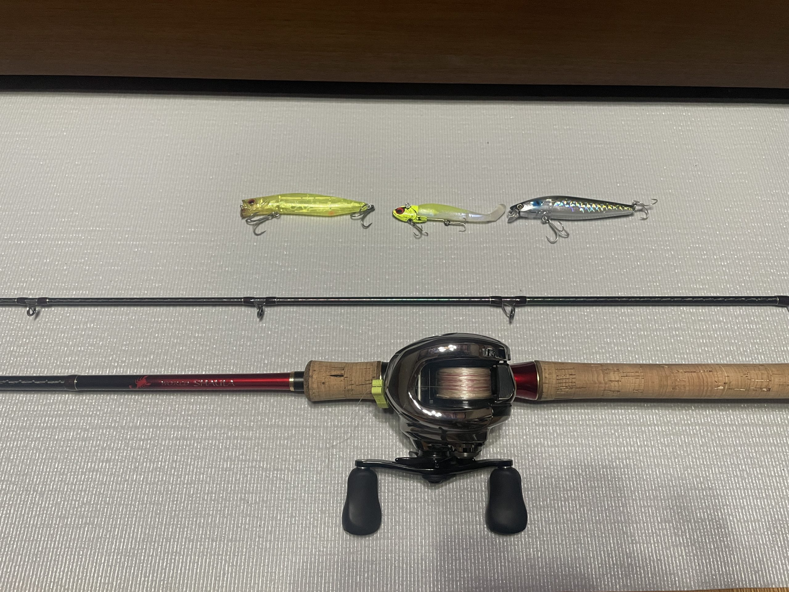 ◇ワールドシャウラ1652Rー3◇ - Enjoy Life