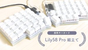 初心者がセパレート式自作キーボード・Lily58 Pro を作ってみた