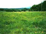 一般社団法人日本草地畜産種子協会