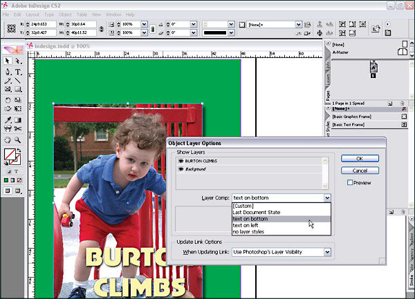 Adobe Creative Suite 2 Premium Edition
