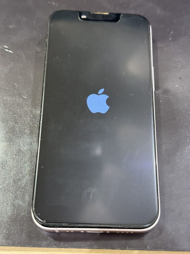 iPhone 13 Pro 256G 起動不可 リンゴループ ジャンク iPhone 13を