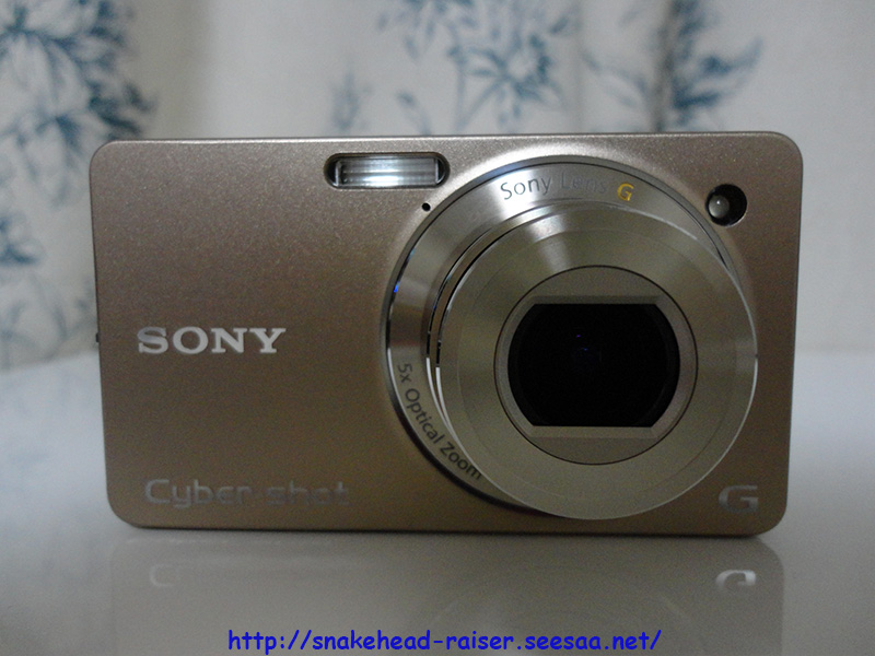 コンデジ名機SONYソニーDSC-WX1を熱帯魚撮影に購入！！: スネーク