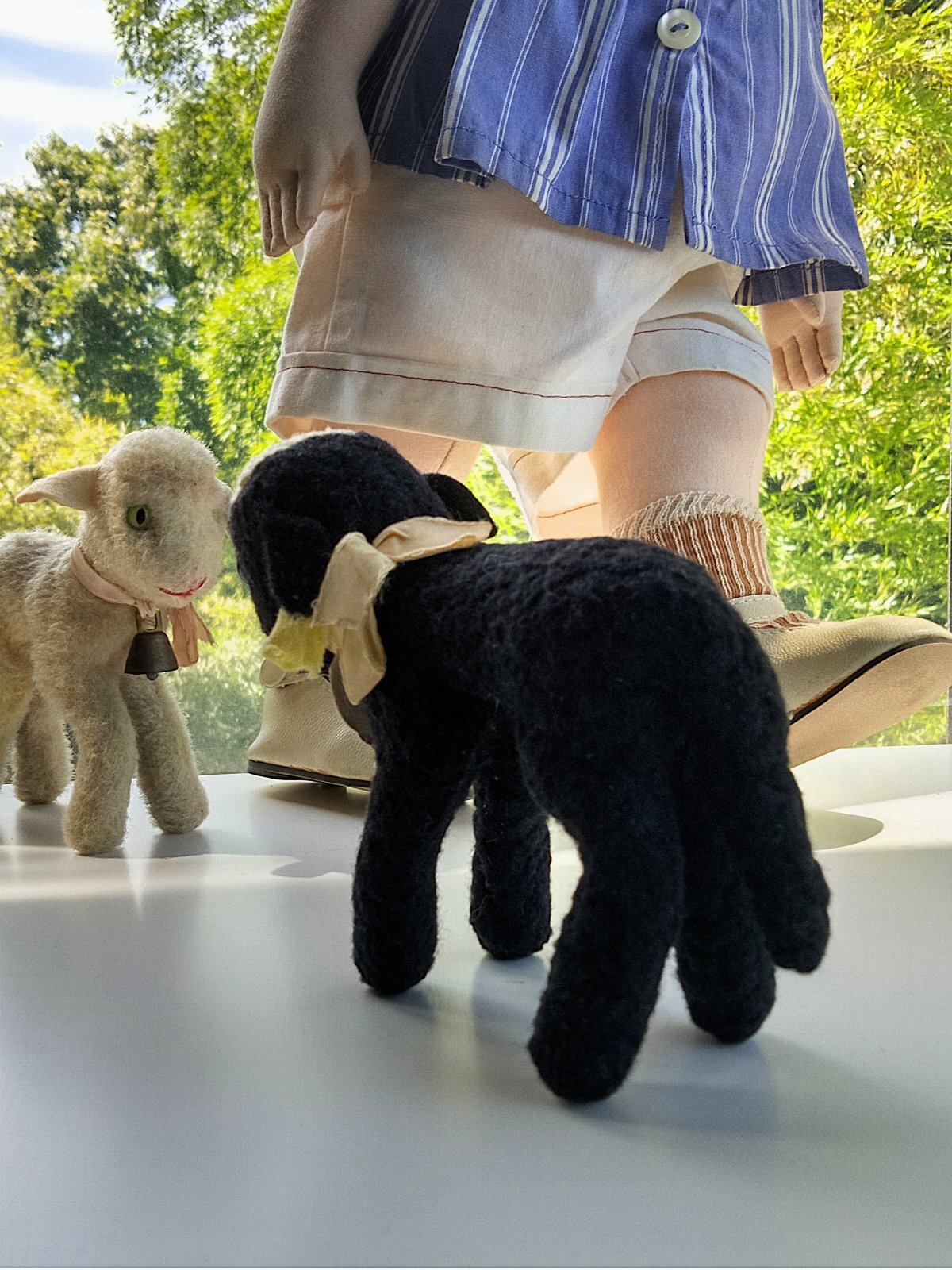 きっとあの子のお友達 1．青い瞳の黒羊 シュタイフ SWAPL ALL ID's - SNAP