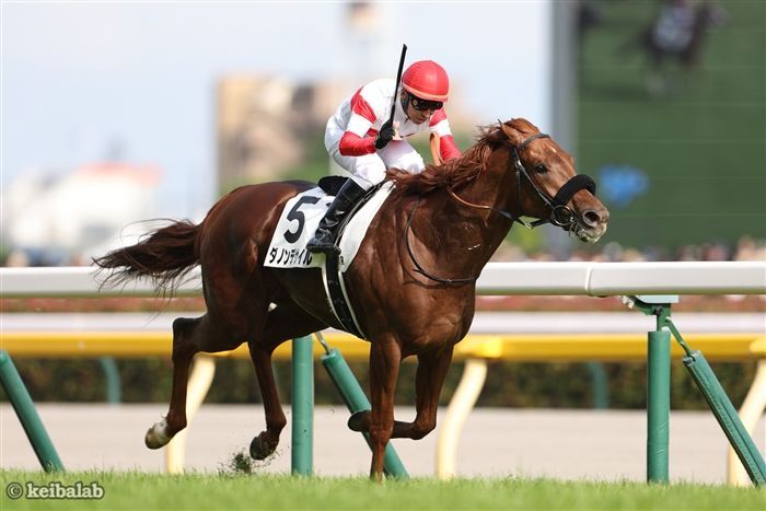 東京優駿(日本ダービー)の特別登録馬情報【2025年6月1日東京11R