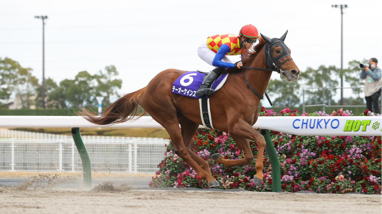 栄光の名馬たち | グリーンチャンネルWeb