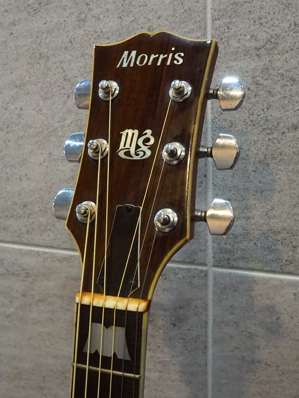 Morris MG-50 1978年頃 ビンテージ 1240623 Morris(モーリス)【楽器